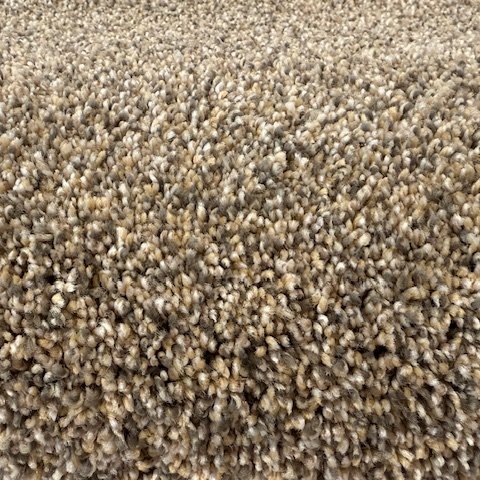 Desert - Sun is in stock at Floorz Carpet Outlet