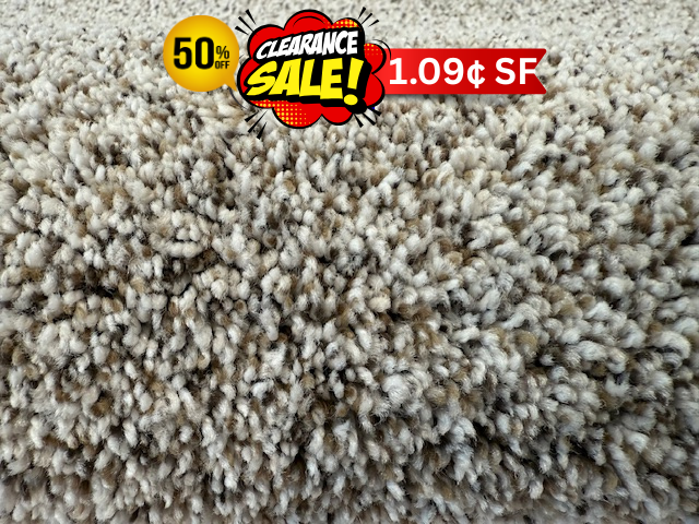 Bear - Foot from Floorz Carpet Outlet is in stock